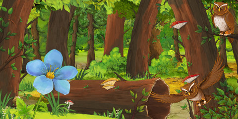 cartoon summer scene with deep forest and bird owl with big beautiful flower - illustration for children