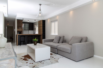 Modern and Compact Living Room