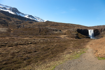 Asphalt road in the fjords of Iceland