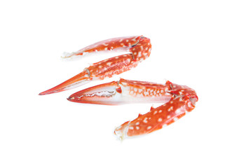 Crab Claw Isolated on White Background