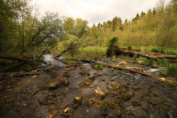 Die Moosach bei Oberhummel in Bayern