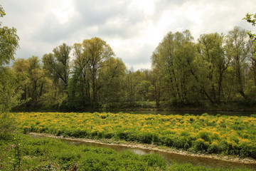 Isar bei Oberhummel in Oberbayern