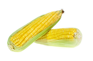 An ear of corn isolated on a white background