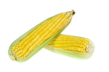 An ear of corn isolated on a white background