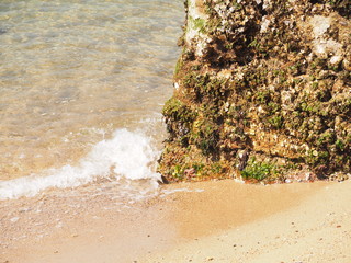 瀬戸内海のきれいな海の砂浜