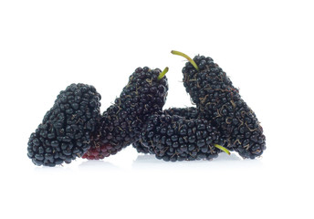 mulberry isolated on the white background