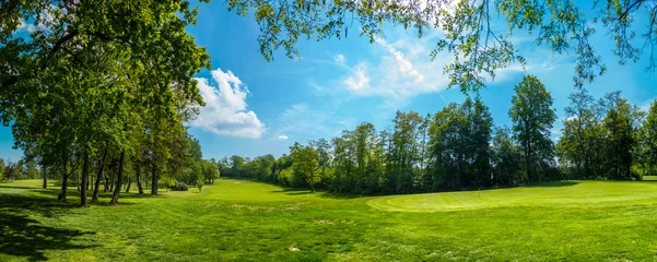 Sierkussen Baan van een golfbaan in Duitsland, met bomenrijen aan weerszijden van het groene, landschap © Frank