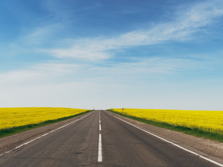 highway among rapeseed yellow field against a blue sky