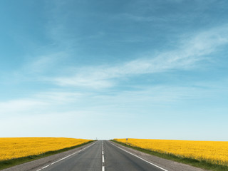 highway among rapeseed yellow field against a blue sky