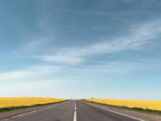 highway among rapeseed yellow field against a blue sky