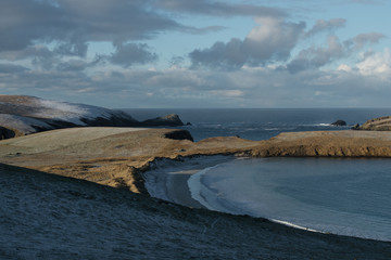 Shetland