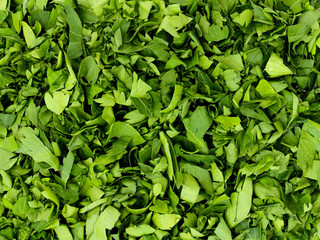 texture of chopped leaves. Natural eco-friendly ingredient for veggie and meat dishes. Spices for a delicious aromatic dinner scattered on the table. Isolated