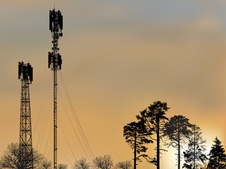two antenna tower silhouettes in black forest at sunset