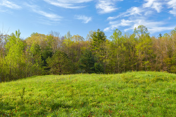 Obraz premium Spring colors in the Smart View Recreation Area, located along the Blue Ridge Parkway south of Roanoke, Virginia