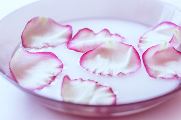 Rose petals in milk. Milk with petals in a plate.