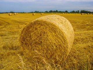 Strohballen liegen auf dem Acker