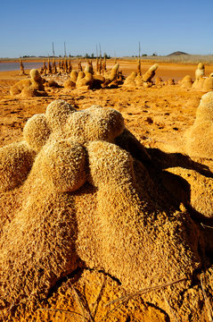 Embase seco de productos del la mina, paisaje expecial