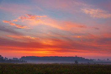 Sunrise above the forest
