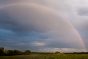 Fototapeta na wymiar Big rainbow on the backdrop of a rainy sky