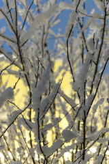 Winterbilder