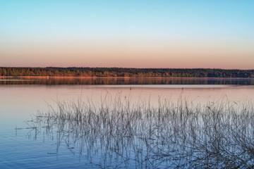 sunset view of the surface of the forest lake with reeds