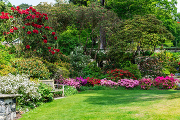 Beau jardin avec des arbres en fleurs au printemps, Pays de Galles, Royaume-Uni