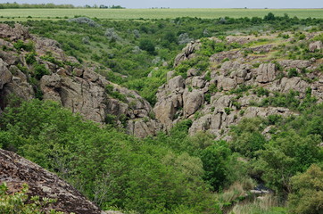 Fototapeta na wymiar Aktove canyon Voznesenskiy region of Mykolaiv Oblast of Ukraine . landscape park Granite-steppe lands of Buh. Natural Wonders of Ukraine 