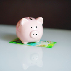 Pink piggy Bank and paper money bill money saving concept. Maternity capital and paid education.