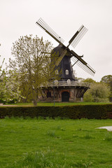 Fototapeta na wymiar dutch windmill in holland