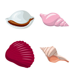 Isolated object of seashell and mollusk symbol. Set of seashell and seafood  vector icon for stock.