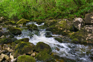 MARBLE ARCH NATIONAL NATURE RESERVE ,CLADAGH GLEN,IRELAND