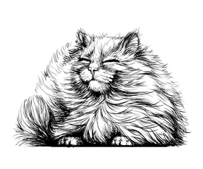 Wandaufkleber. Die schwarz-weiße, grafische, künstlerische Zeichnung einer süßen, flauschigen Katze blinzelt ziemlich in die Sonne. © AnastasiaOsipova