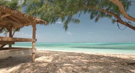 tropical beach with palm trees