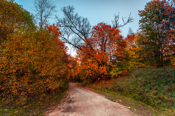 The dirt road in the wild remote forest, Mari El, Russia
