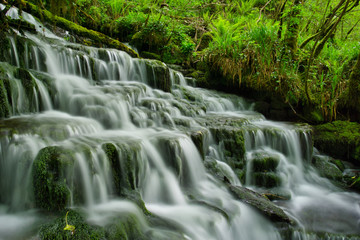 MARBLE ARCH NATIONAL NATURE RESERVE ,CLADAGH GLEN,IRELAND