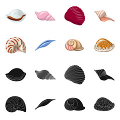 Vector illustration of animal and decoration symbol. Collection of animal and ocean stock symbol for web.