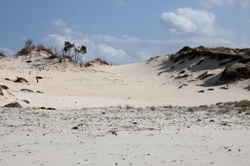 Fototapeta na wymiar Sulle dune di Capo Comino