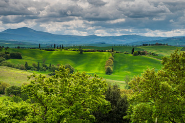 Tuscany spring, rolling hills and windmill on sunset. Rural landscape. Green fields. Italy, Europe