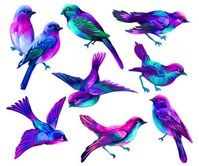 Obraz premium Wall sticker. Color graphic collection set of magic, exotic multicolored birds on a white background.