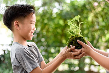Young boy play with soil and seedling