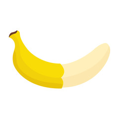 Banana. Fruit. Realistic banana. Icon. Vector illustration. White background. EPS 10.
