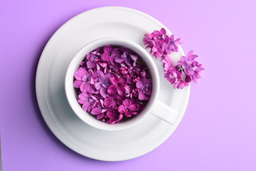 Obraz na płótnie Canvas Bright Lilac Flowers Cup Plate