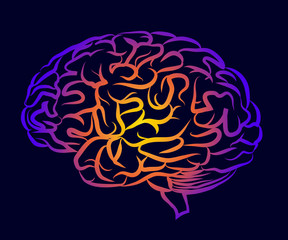 The human brain. Graphic, multi-colored silhouette of the brain side view on a dark purple background.