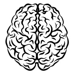The human brain. Graphic, black and white drawing of a brain view from above on a white background.
