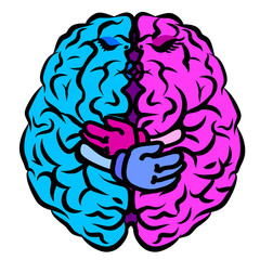 Brain. The two halves of the whole brain of pink and blue embrace each other. Animation cartoon.