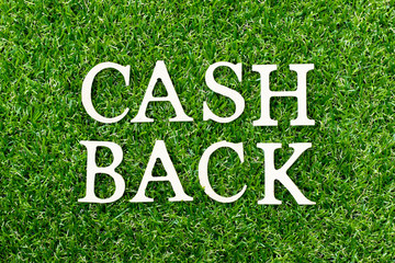 Wood alphabet letter in word cash back on green grass background