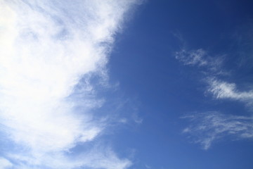 初夏の空