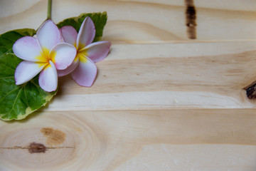 Fototapeta na wymiar The background is a wooden floor. Compose images with A pink frangipani flower and green leaves