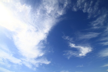 初夏の空