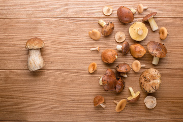 mushrooms on the table. mushrooms closeup